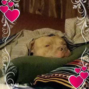 Meet your Posher, Paula